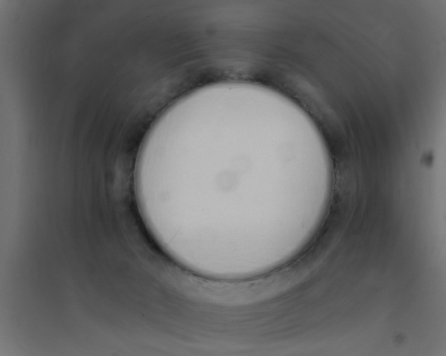 X0000094320030200711241817