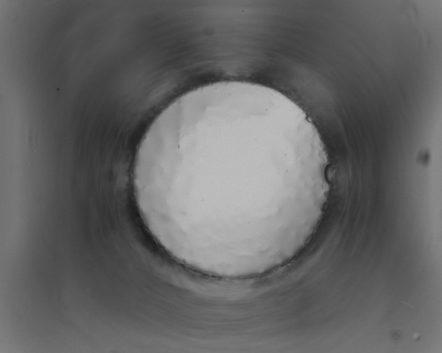 X0000094320032200711241817