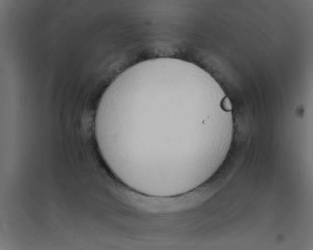 X0000094320034200711241817