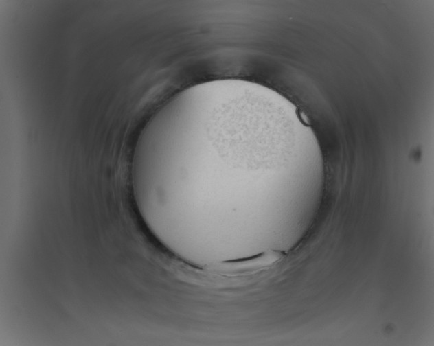 X0000094320035200711241817