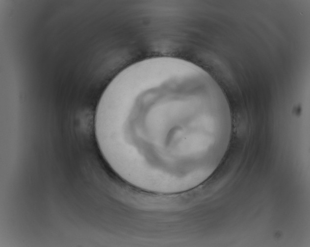 X0000094320036200711241817