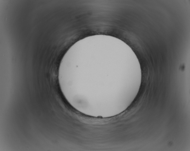 X0000094320040200711241817