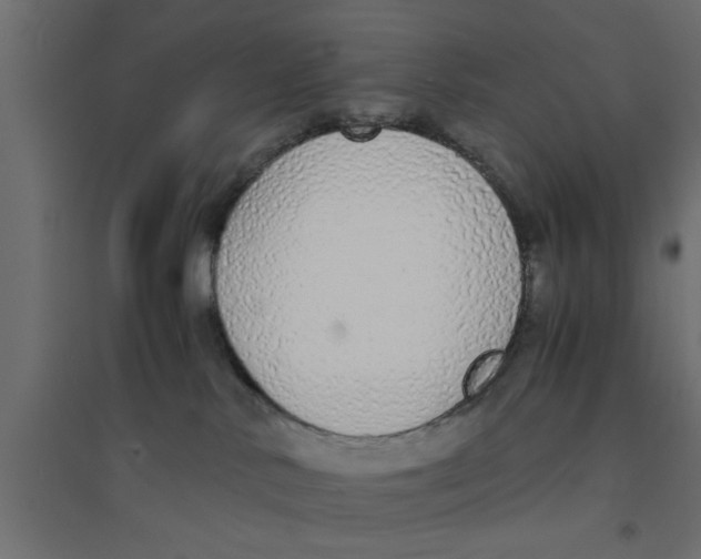 X0000094320042200711241817