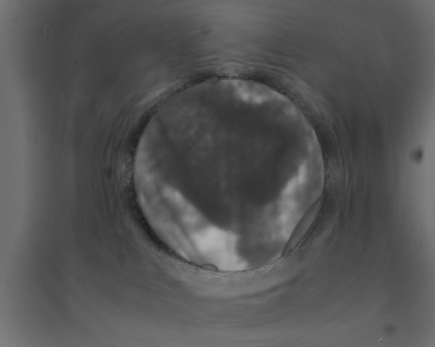 X0000094320043200711241817