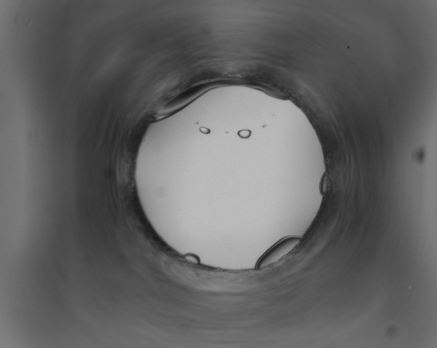 X0000094320044200711241817