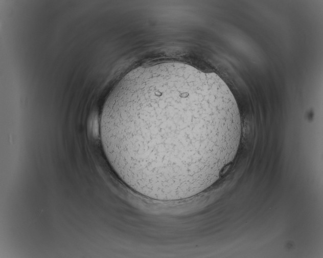X0000094320046200711241817
