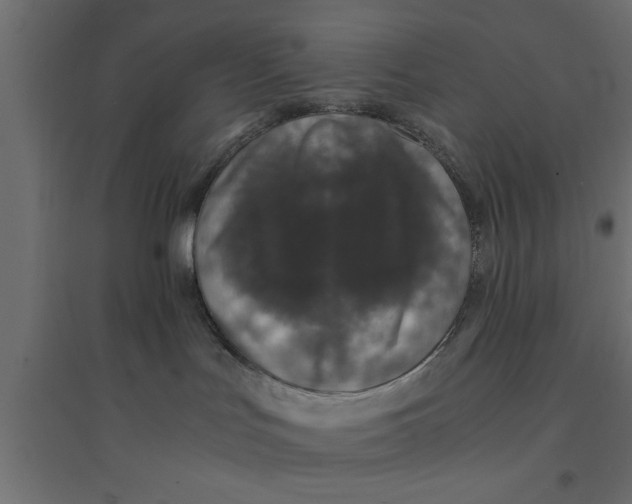 X0000094320047200711241817
