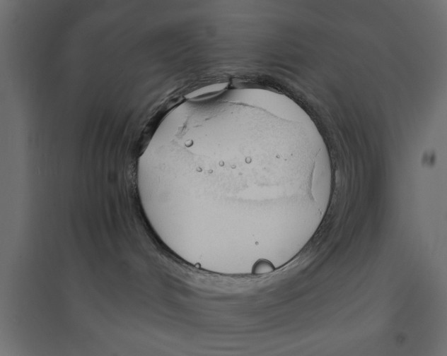 X0000094320048200711241817