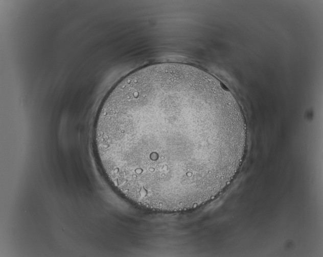 X0000094320049200711241816