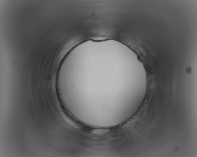 X0000094320051200711241816