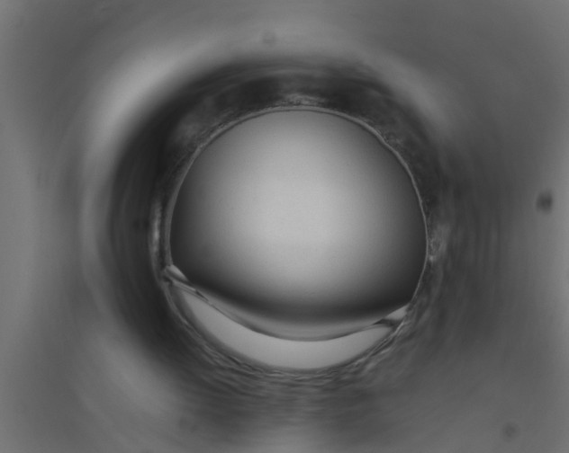 X0000094320052200711241816