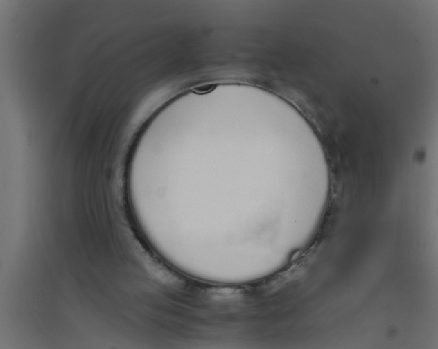 X0000094320053200711241816