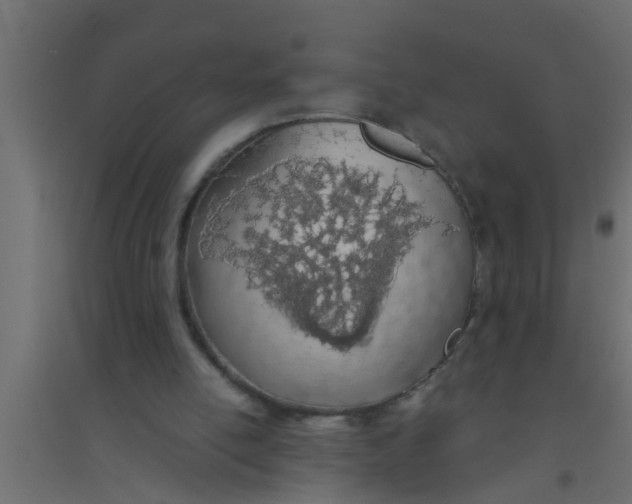X0000094320054200711241816