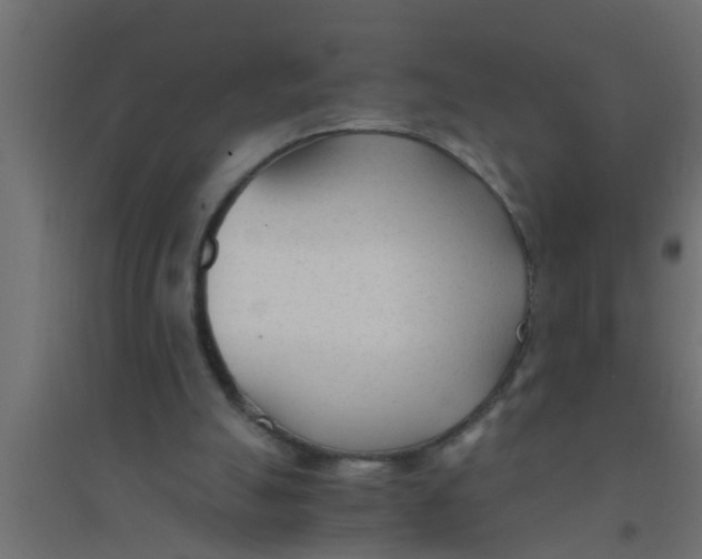 X0000094320055200711241816