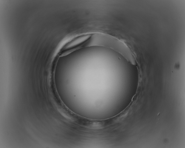 X0000094320056200711241816