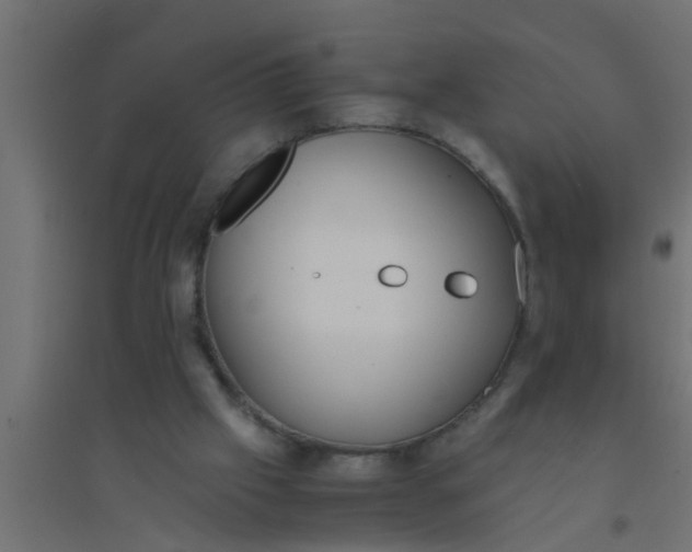 X0000094320057200711241816