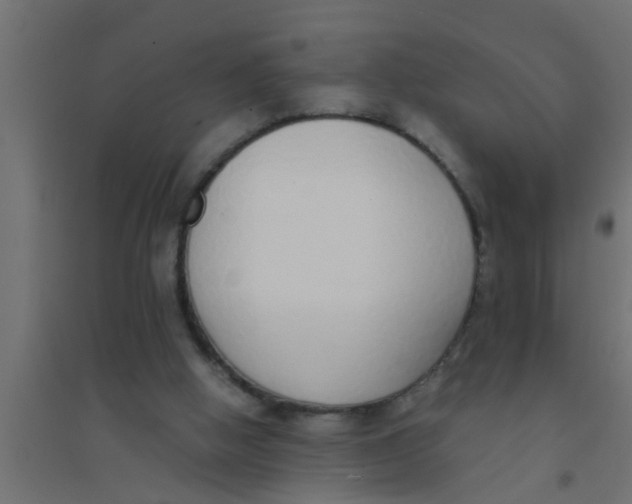X0000094320058200711241816