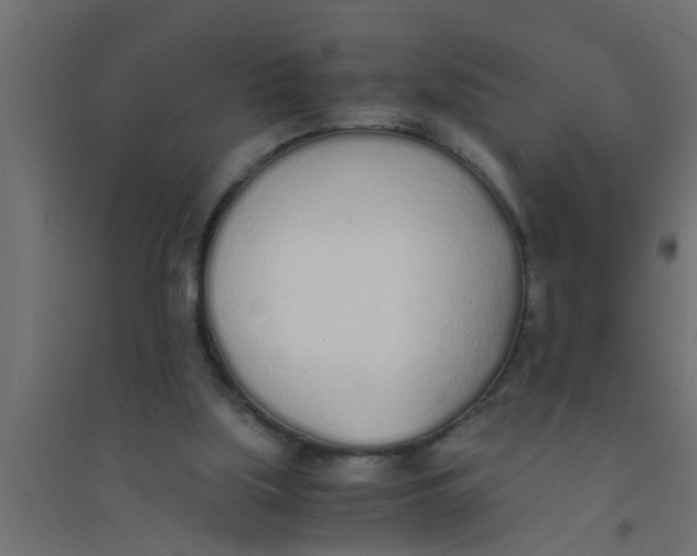 X0000094320059200711241816