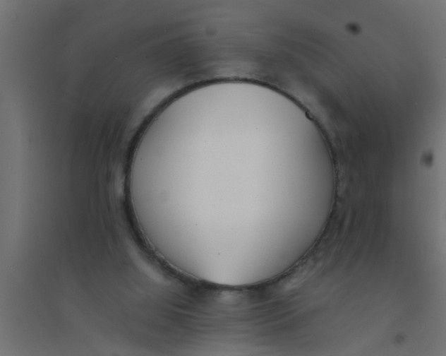 X0000094320060200711241816