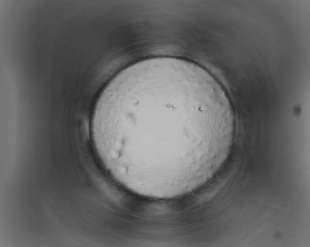 X0000094320061200711241816