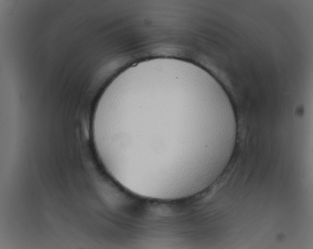 X0000094320062200711241816