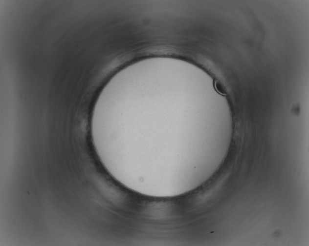 X0000094320063200711241816
