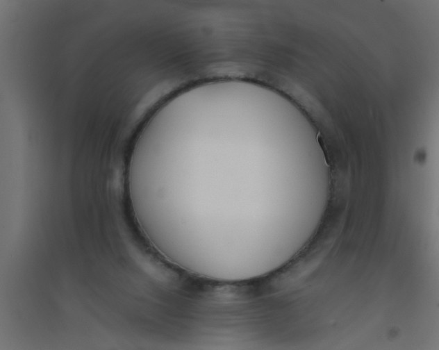 X0000094320064200711241816