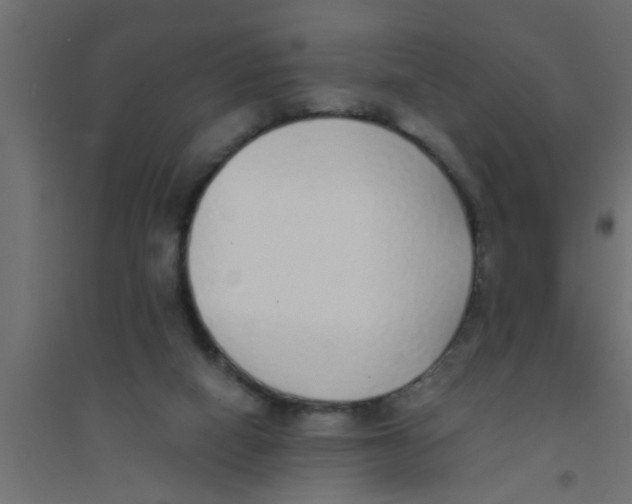 X0000094320066200711241816