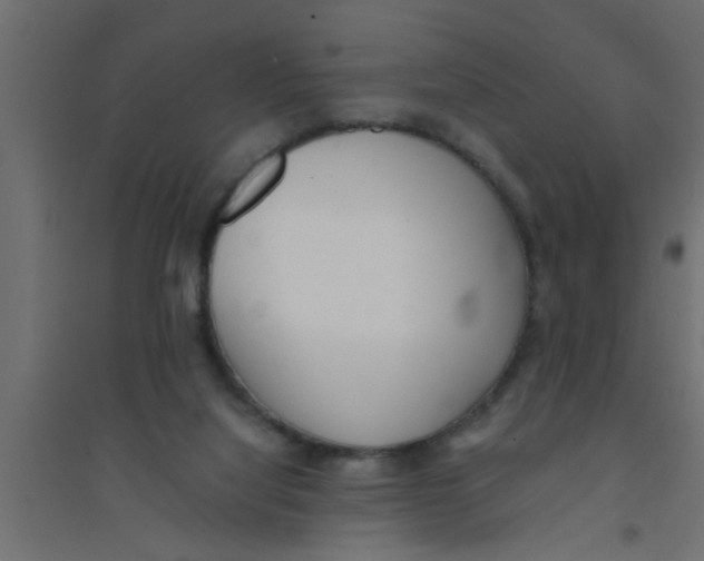 X0000094320068200711241816