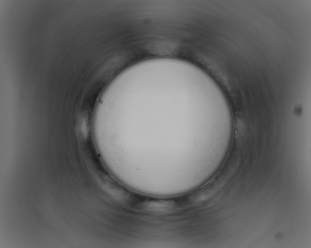 X0000094320069200711241816