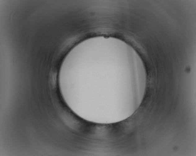 X0000094320070200711241816