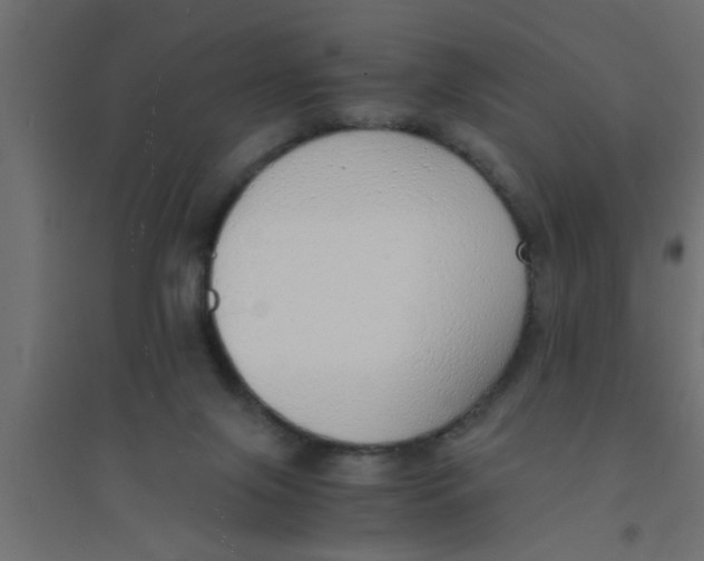 X0000094320071200711241816