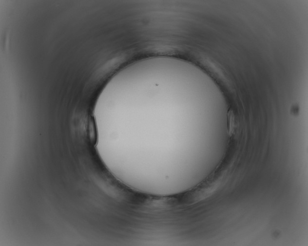 X0000094320072200711241816