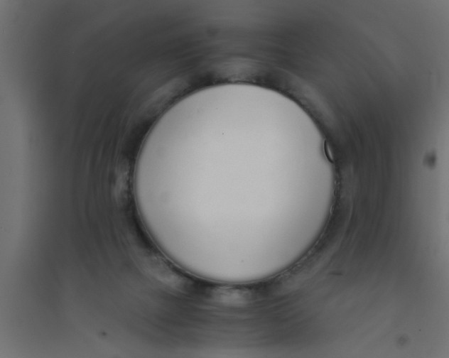 X0000094320073200711241816