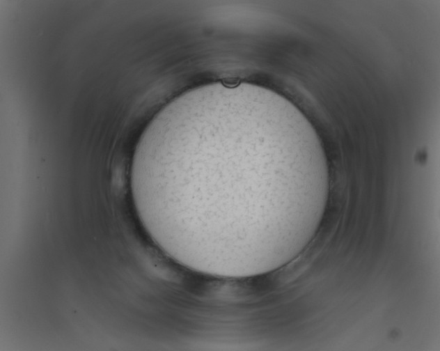X0000094320074200711241816