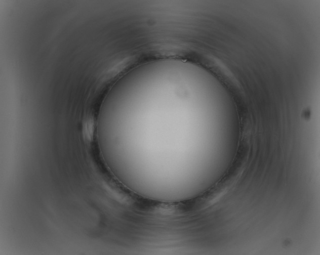 X0000094320076200711241816