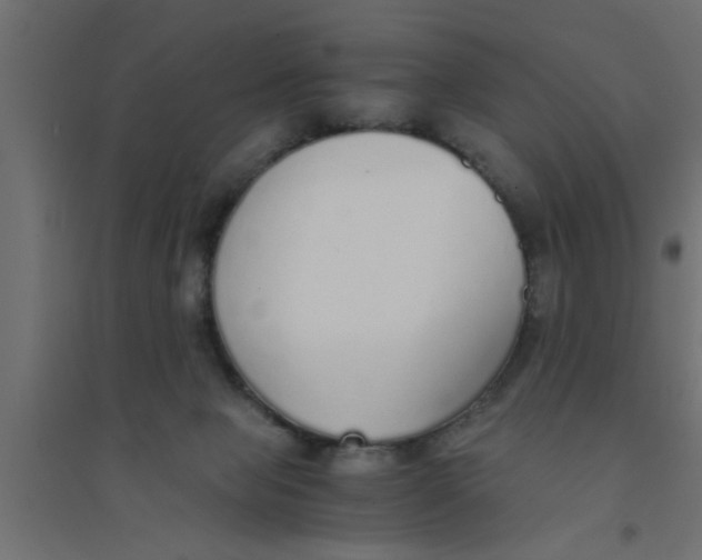 X0000094320077200711241816