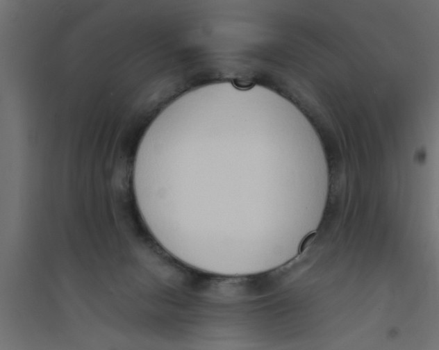 X0000094320078200711241816