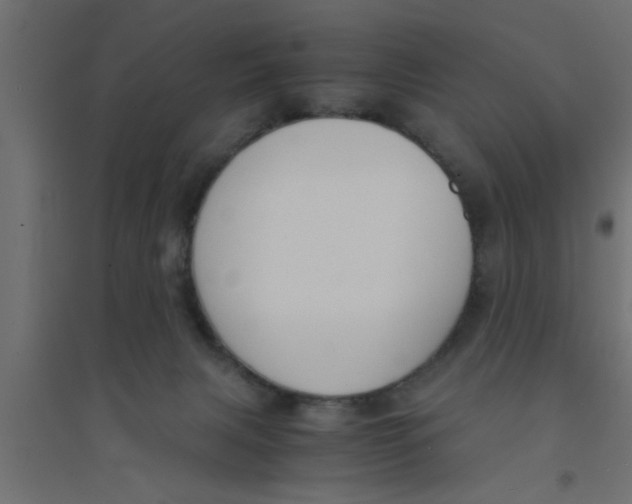X0000094320079200711241816