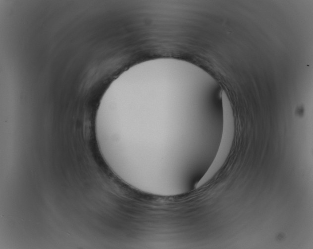 X0000094320080200711241816