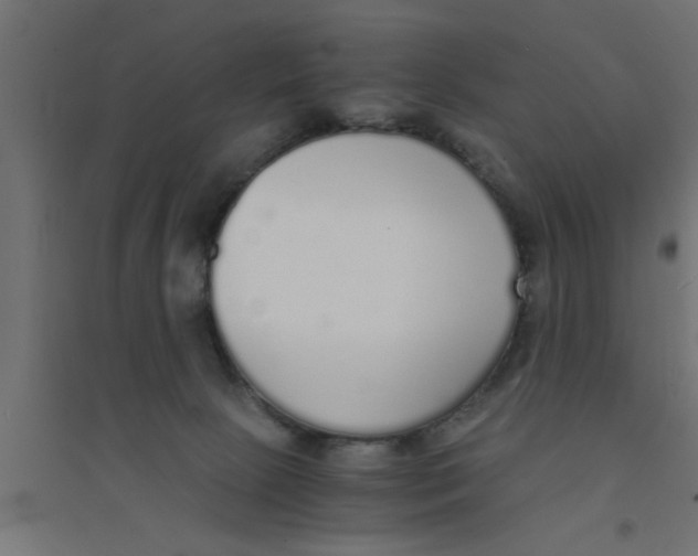 X0000094320081200711241816
