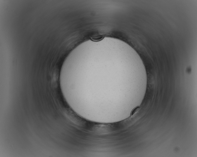 X0000094320082200711241816