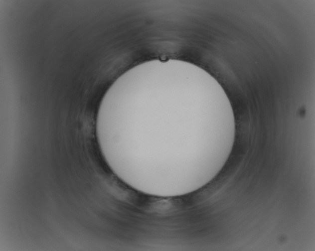 X0000094320083200711241816