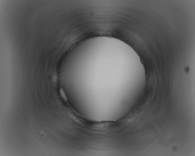 X0000094320084200711241816