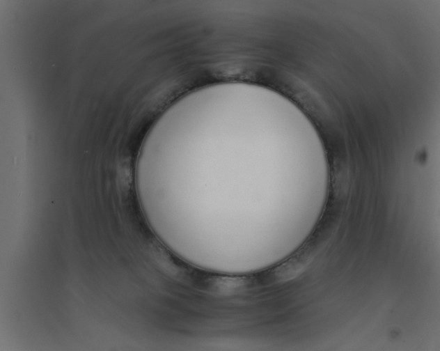 X0000094320085200711241816