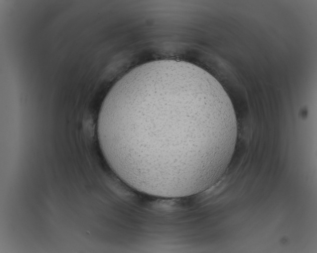 X0000094320086200711241816