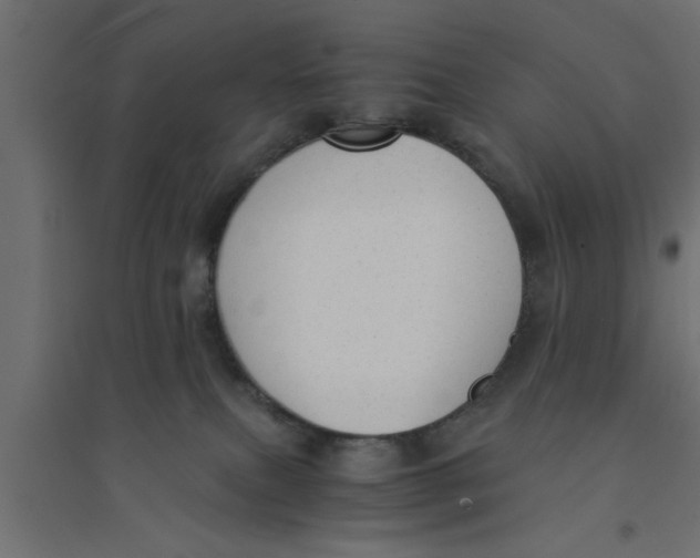 X0000094320087200711241816