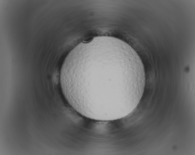 X0000094320090200711241816