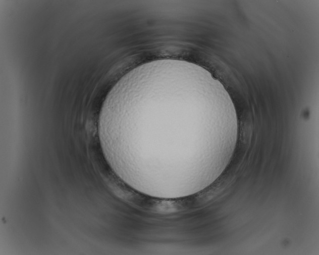 X0000094320091200711241816