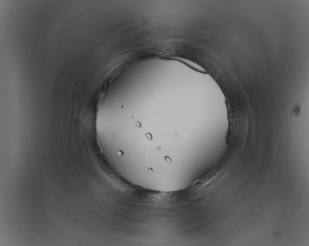 X0000094320092200711241816